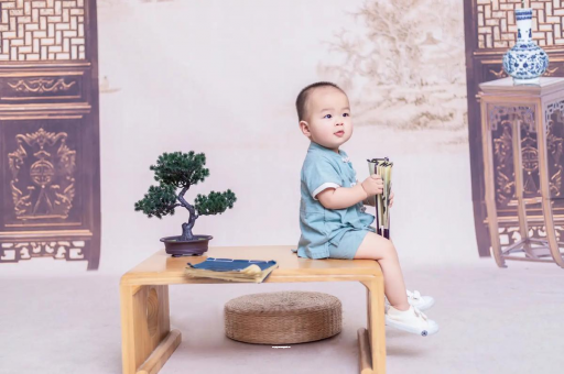 天津可爱的企鹅宝宝